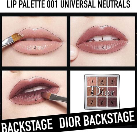 dior backstage lip palette 001 universal neutrals